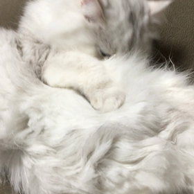 アンバランス。の画像