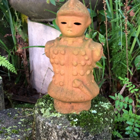 ひぐらしの画像