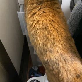 申し訳ございません　１９のままさの画像