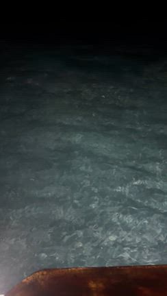 鯖だ鯖ダバダ鯖だ鯖ダバダ。の記事動画