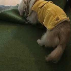 ただいま〜の画像