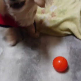 オモチャの画像