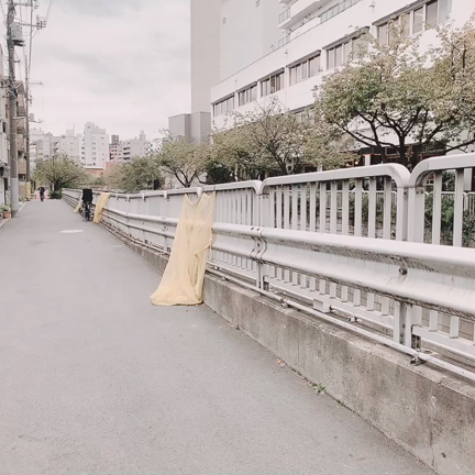 2日間限定イベント、明日が最終日です！の記事動画
