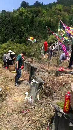 清明节の記事動画