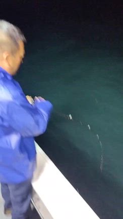 6月1日 夜便 【釣果情報】の記事動画