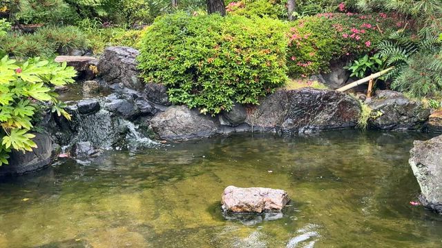 芦屋市 谷崎潤一郎記念館に行って。の記事動画