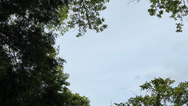 ⛰️【女性参加費無料】自然の中で出会う。20代限定 婚活登山 in 龍ノ口山⛰️の記事動画