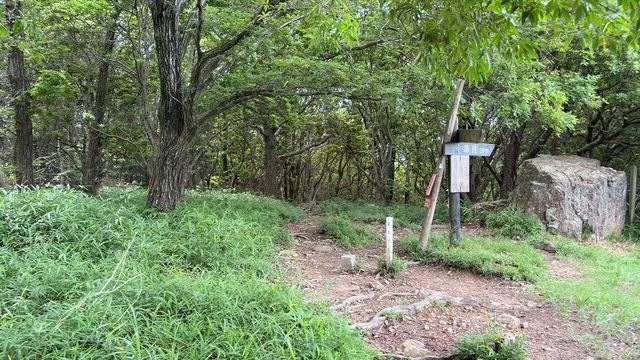 ⛰️龍ノ口山には、まだ知られていない魅力がありました⛰️の記事動画