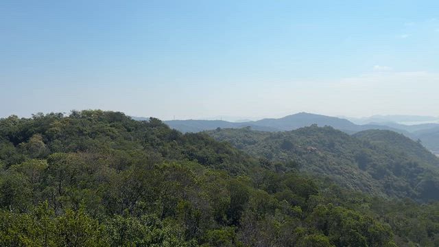 【第2回 大人の交流登山 in 王子が岳 開催します❣️✨】の記事動画
