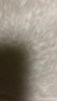 セクシー川田様の記事動画