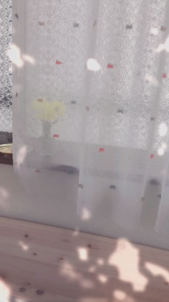 初心者なうの記事動画
