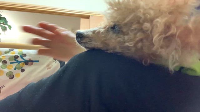 太一くんの食事風景の記事動画