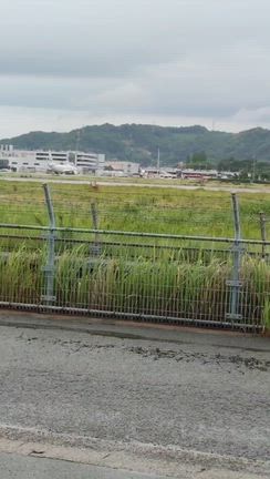 番外編 ブロ友さんがやってきた 虹色メンバー保護者会in松山の記事動画