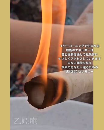 【大反響のため延長】乙姫庵お試し価格受付！の記事動画