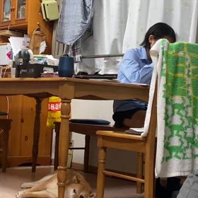 土砂降りの小陸☔️の画像
