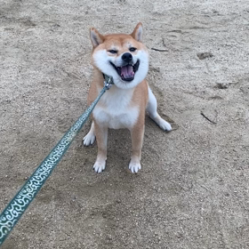 ひとまず幕引き。の画像
