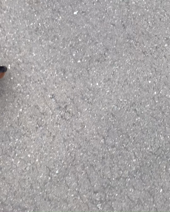 今日は寒かったですね…の記事動画