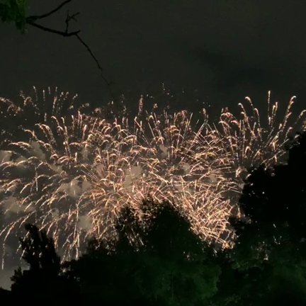 花火の記事動画