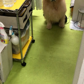 少し調子が良いのサムネイル画像