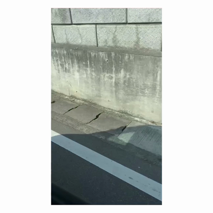 サバしゃぶ☆りぃちゅの記事動画