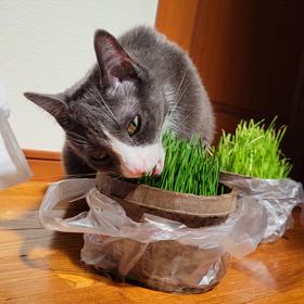 2024/04/13の画像
