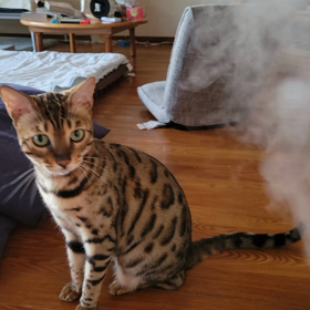 2022/12/20の画像