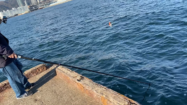 ２年振のエビ撒き釣りの記事動画