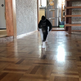 だいちゃんの画像