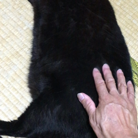 おつかれ様ですの画像