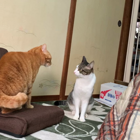 けんか?の  画像