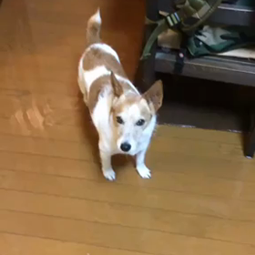 まさかの雨漏りが…の画像