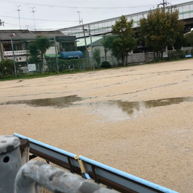 雨よ〜の画像