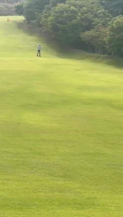 グラススキーむずくて草の記事動画