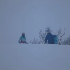 意外な真実の画像