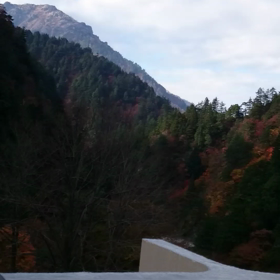 週末は兵庫県♪の画像