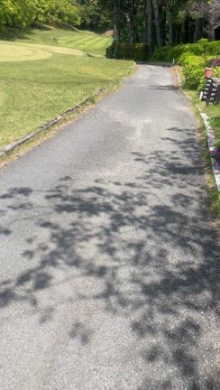 ご懐妊よの記事動画