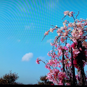 HURRY GO ROUNDの画像