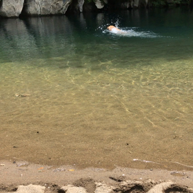 今度は、清流で・・・の画像
