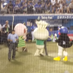 えのきの画像