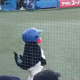 今日のダンスの画像