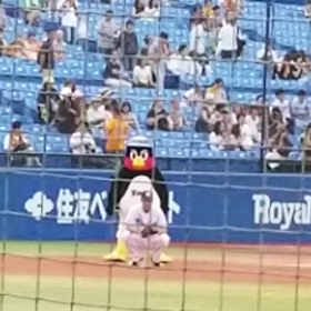 動画①の画像