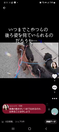 いつまで…の記事動画
