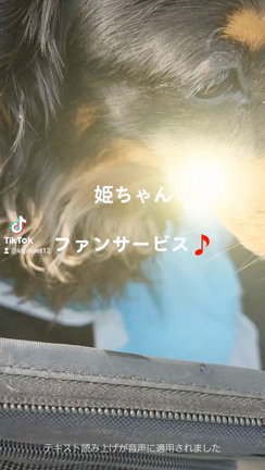 2023/04/13の記事動画