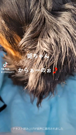 2023/04/18の記事動画