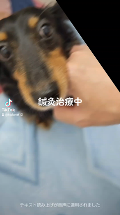 2023/04/05の記事動画
