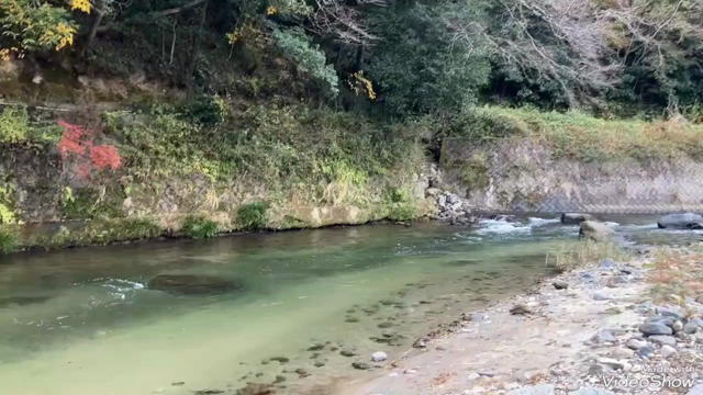 テントサウナ・プチイベント（茨城県某所）／参加料 美味しい食べ物等の記事動画