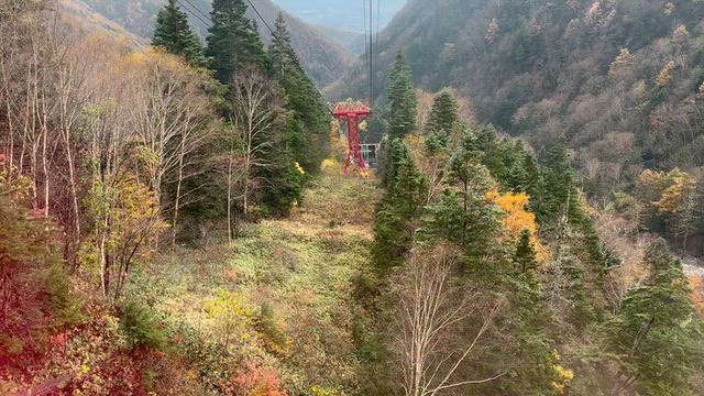 2024秋 飯田線ローカル線旅 ☆ 駒ヶ根高原ロープウェイから駒ヶ根駅への記事動画