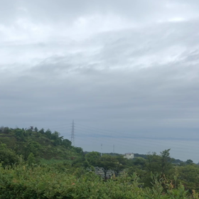 少しでもの画像