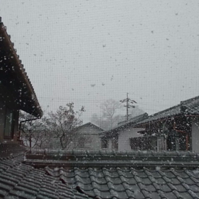雪が降ってきてテンション上がった高校生の画像