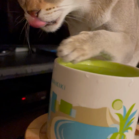 お水飲むの画像